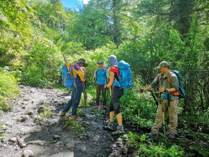 Mardi Himal Trek
