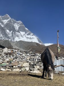 Makalu Sherpani Col Pass Trek