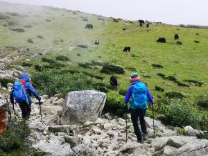 Manaslu Circuit Trek with Tsum Valley