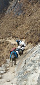 Lower Dolpo Trek: A Journey to the Hidden Gem in Northwestern Nepal